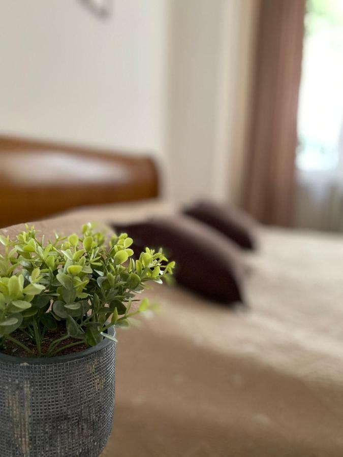 Family Lux Apartment Lviv Extérieur photo